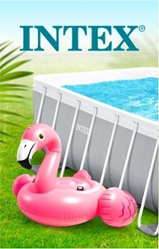 INTEX